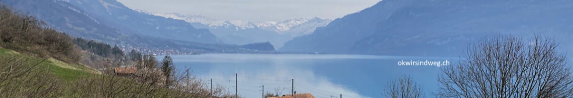 Aussicht auf Brienzersee Beitragsbild-klein