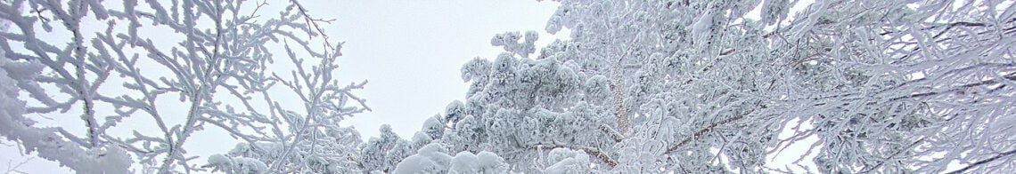 Balsthal-Weissenstein-Jura-Höhenwanderung 1380x400