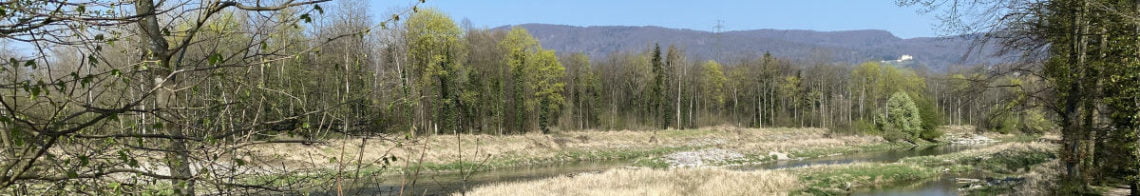 Flusswanderung an Aare Schönenwerd-Niedergösgen-Gretzenbach-Beitragsbild