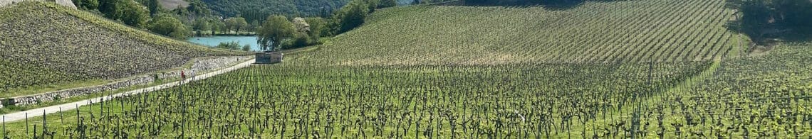 Sierre-Siders-Wanderung-Rhone_1380x400