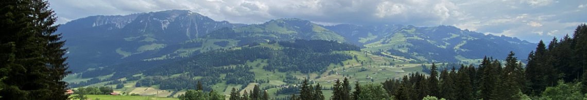 Simmental-Beitragsbild