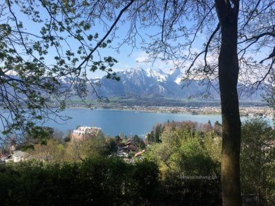 Aussicht auf den Thunersee