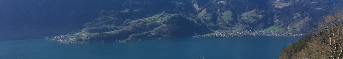 Sicht auf den Thunersee