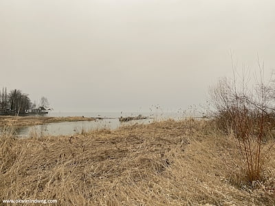 Bodenseewanderung Rorschach-Arbon