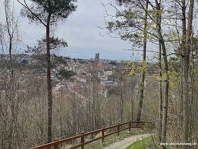 Freiburger Stadt-Land-Wanderung