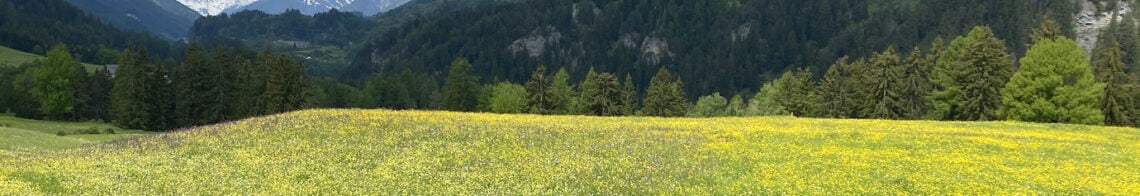 Wanderung von Scuol nach Ardez über den Inn_1380x400