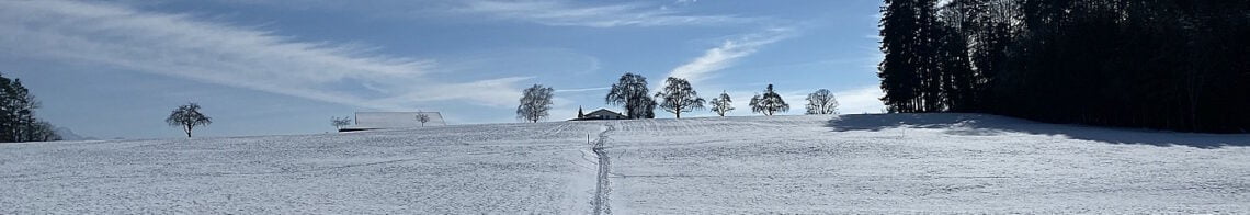 Winterwanderung-Winterrundwanderung-Ostschweiz-Zuzwil_1380x400