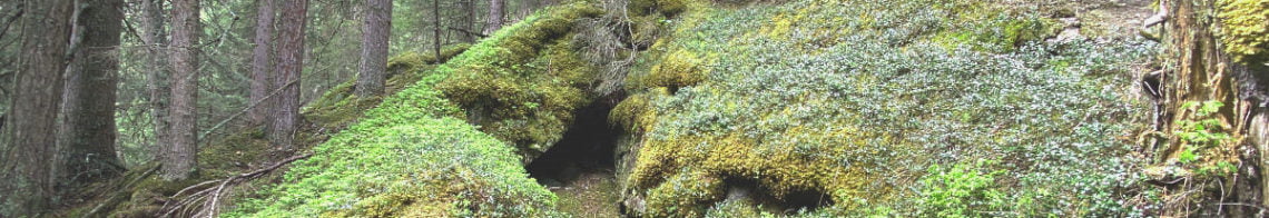 maerchenwanderung durch maerchenwald profilbild